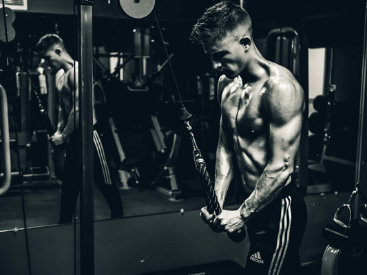 Creating the Perfect Chest Day Battle Plan