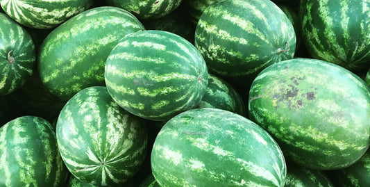 Health Benefits of Watermelon: Pre-Workout Power