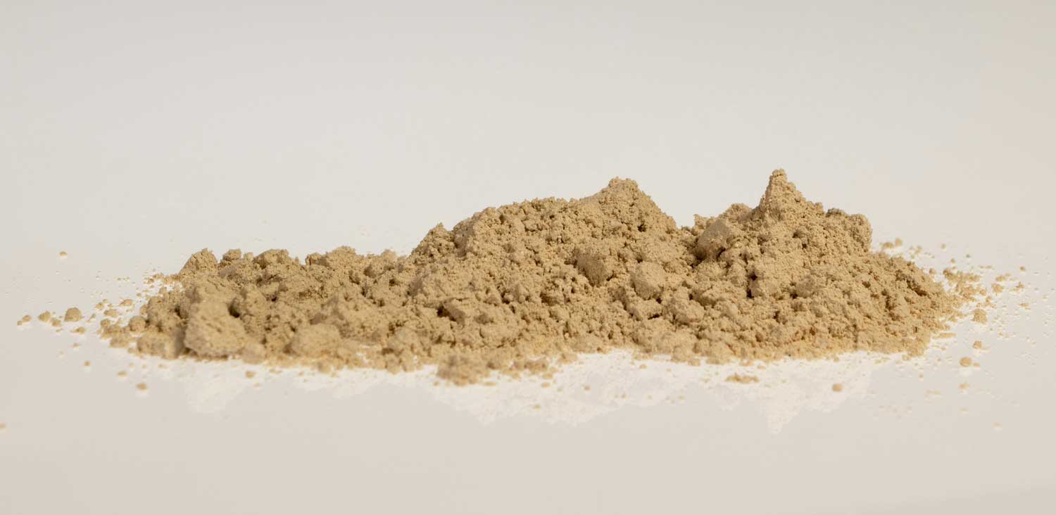Protein Requirements: Building Blocks of Strength